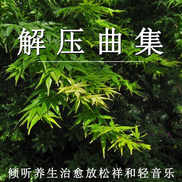 解压曲集 倾听养生(轻松纯音乐)