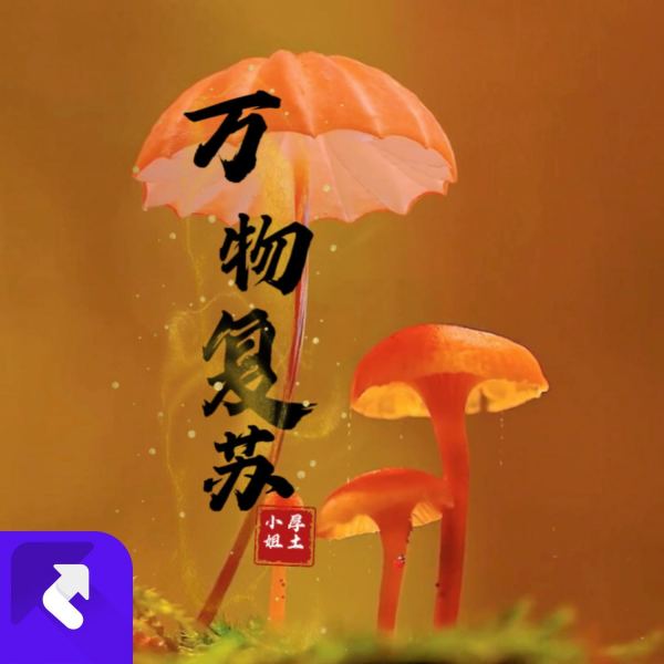 万物复苏（DJ纯音乐）