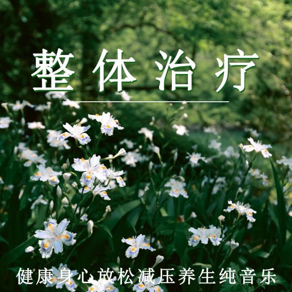 健康身心放松减压（钢琴）