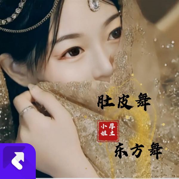 Belly Dance (Oriental Dance) After Türkiye Dance肚皮舞(东方舞):土耳其艳后