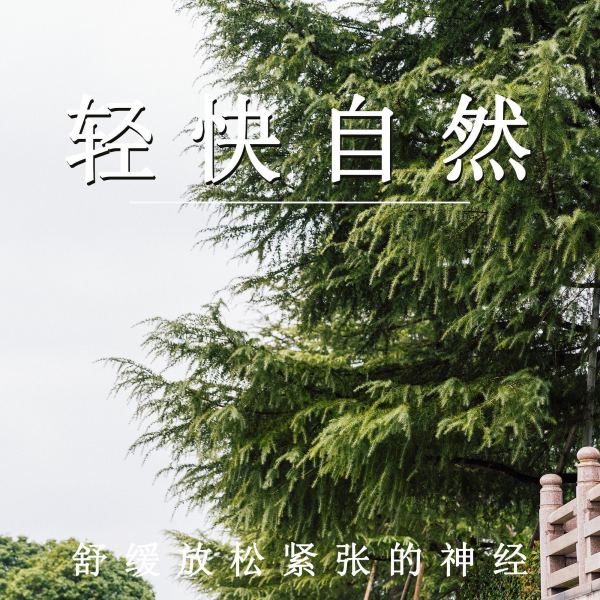浅听微风吧（轻音乐）