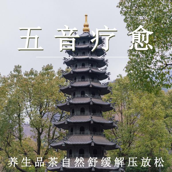 开启五音疗愈（疗愈纯音乐）