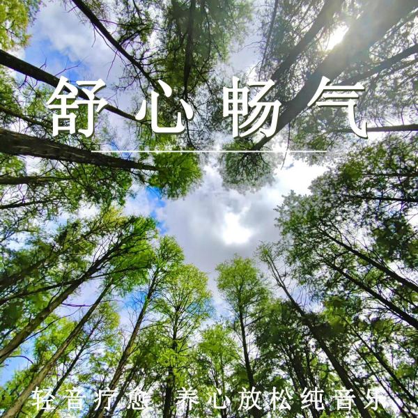 养心