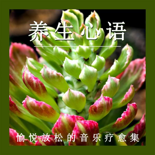 清新健康之歌(八音盒)