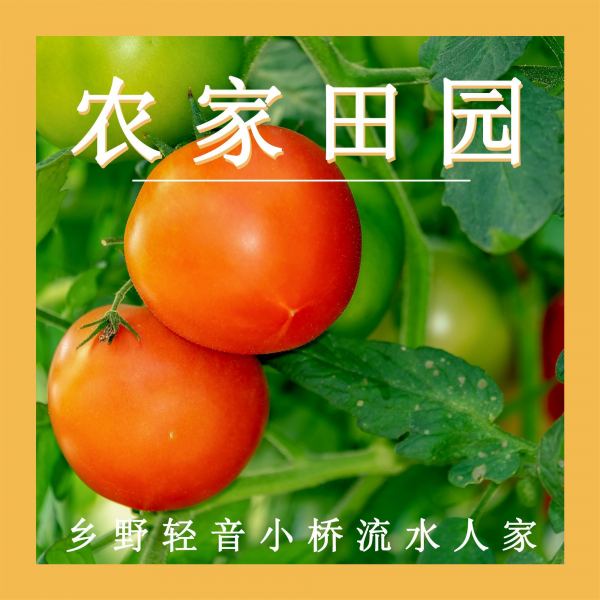 水乡风情(钢片琴)