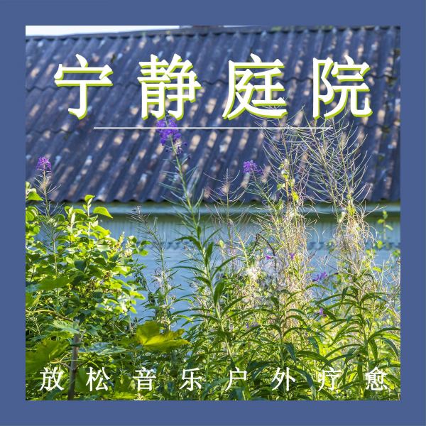 碧水长廊