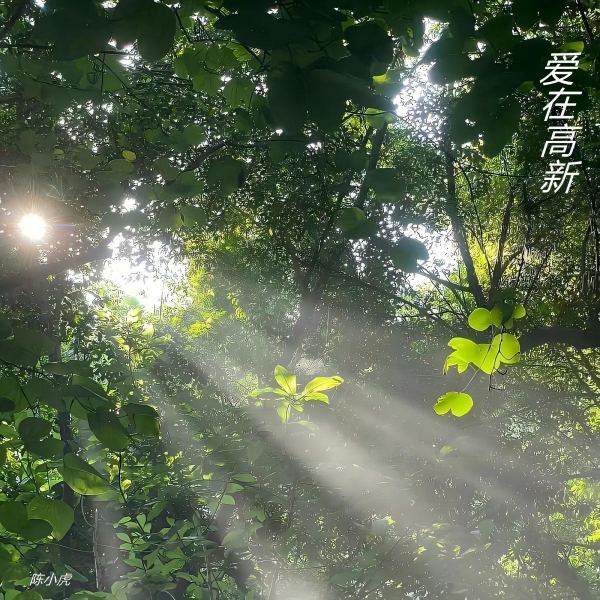 爱在高新（伴奏）