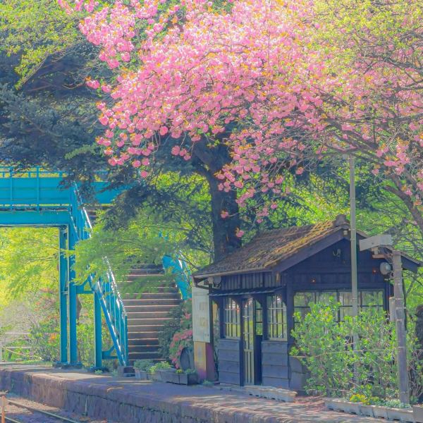 半山雾（安神古筝）