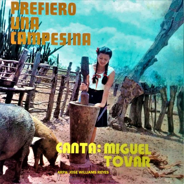 Lo Amargo De Una Canci&oacute;n