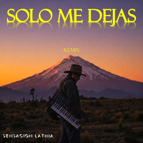 Solo Me Dejas - Remix