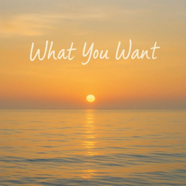 What You Want