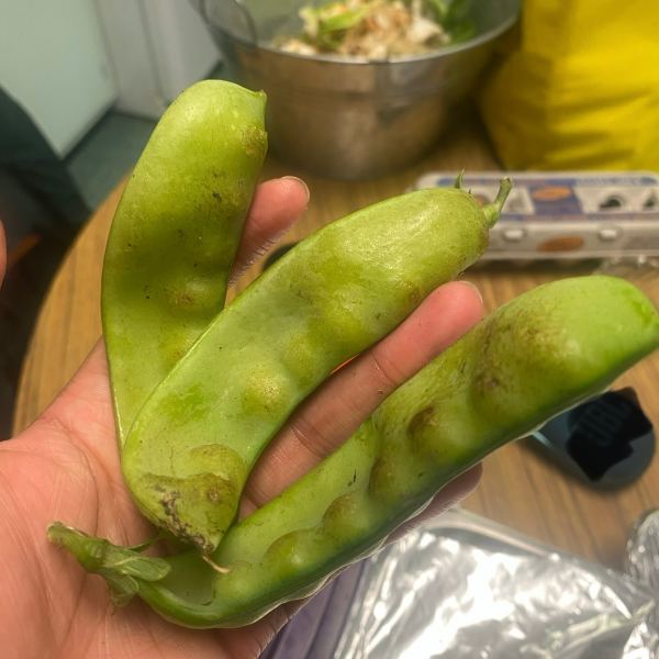 Pea Pod Psalm
