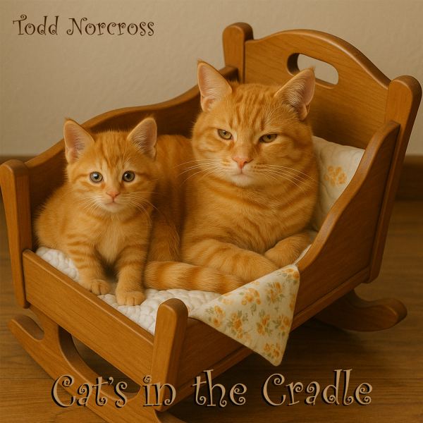 Cat's in the Cradle