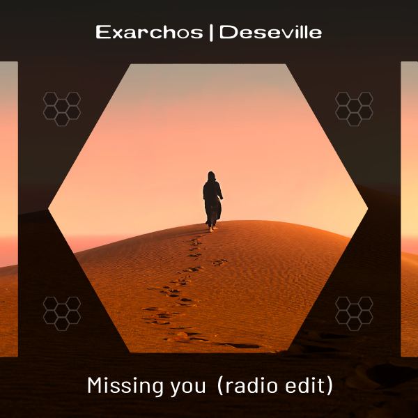 Missing you - Radio Edit