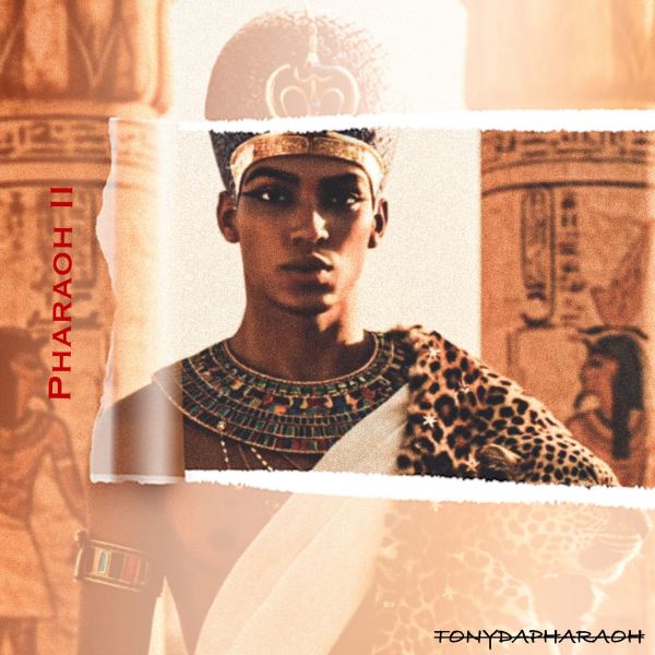 King Of Kush
