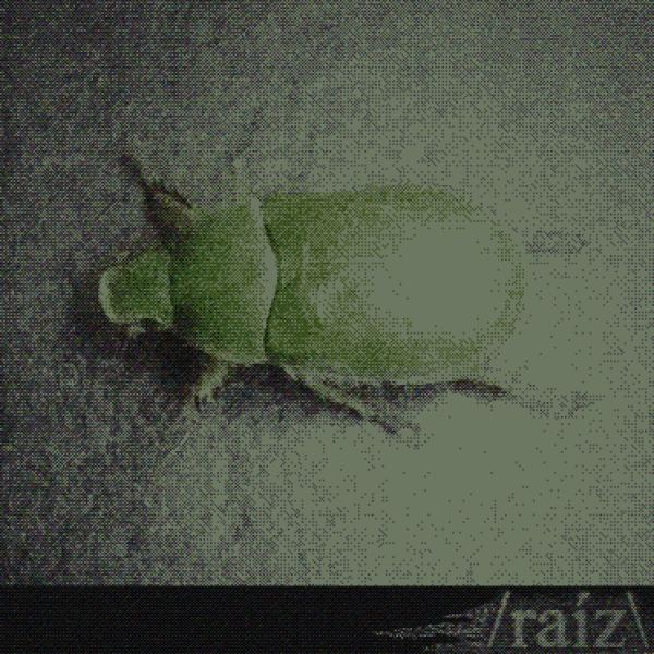 /ra&iacute;z\