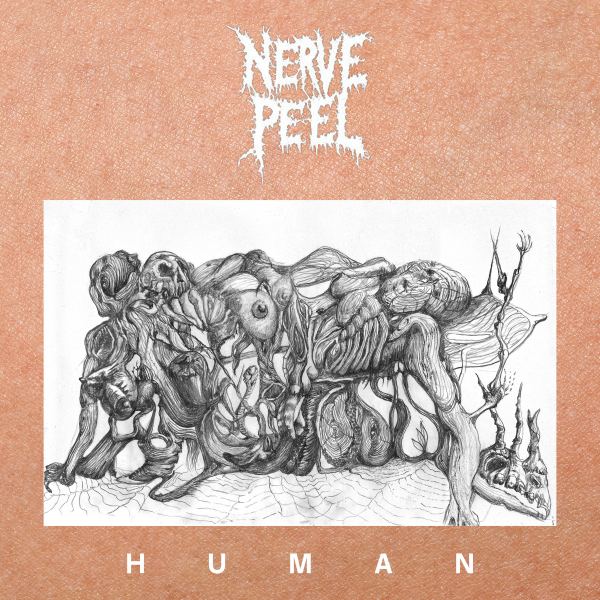 Human