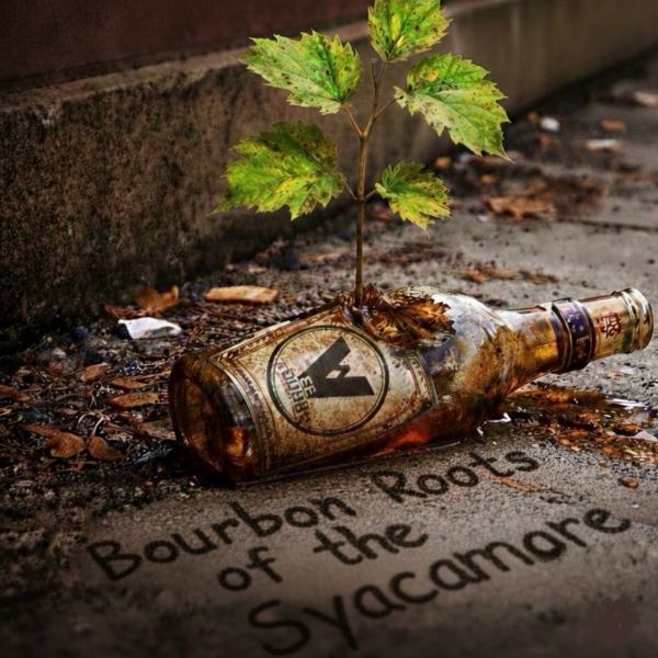 Bourbon Roots of the Sycamore