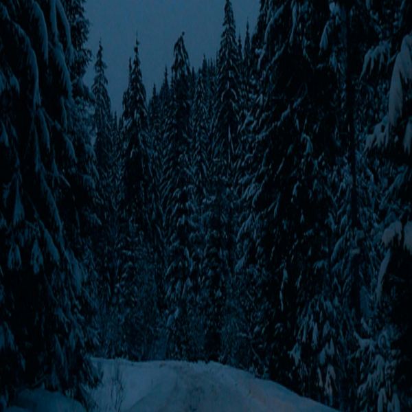snowfort