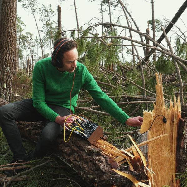 Life Beneath the Fallen Pines B - Side B