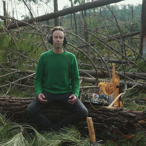 Life Beneath the Fallen Pines
