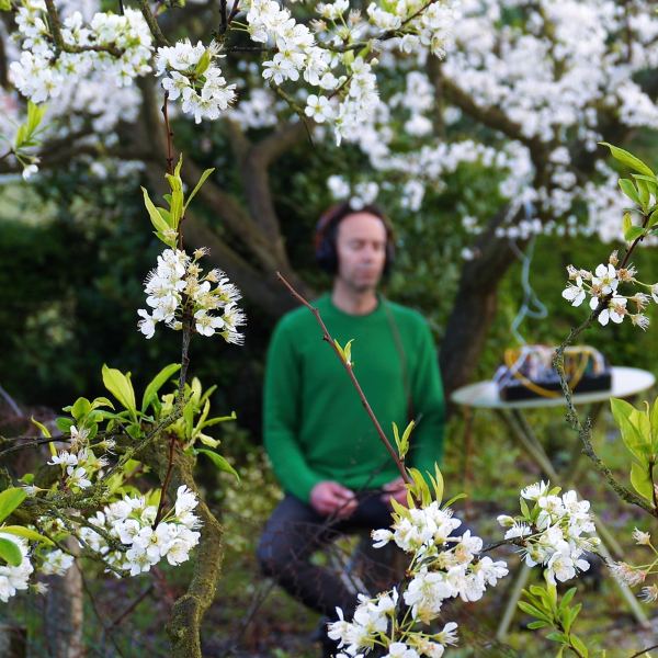 Under the Plum Blossom Tree B - Side B