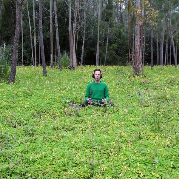 The Day the Oxalis Spoke