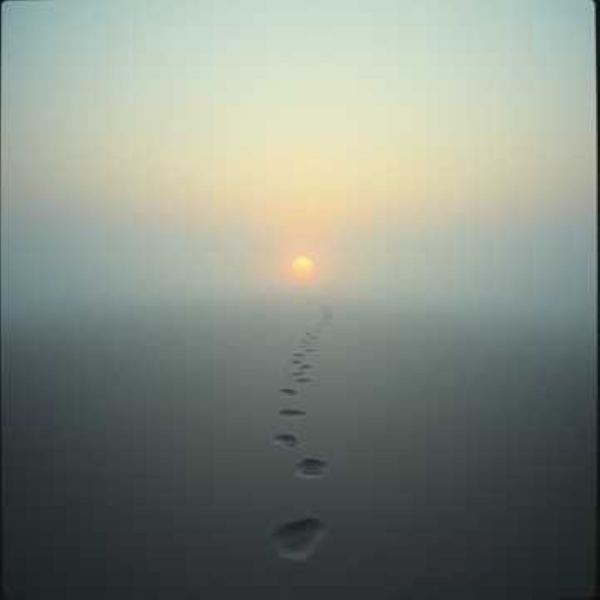 If There Were No Tomorrow