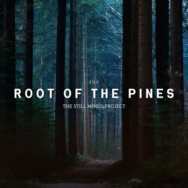 The Root Of The Pine