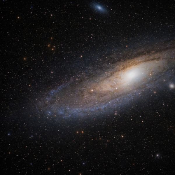 In The Immensity