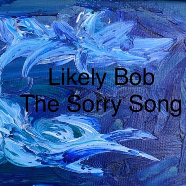 The Sorry Song