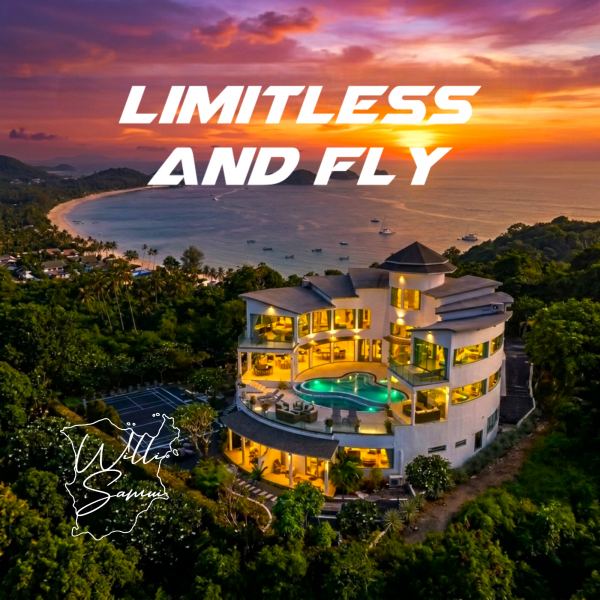 Limitless And Fly
