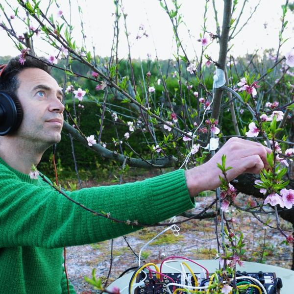 Peach Blossom B - Side B