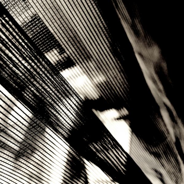 Electron Swarm