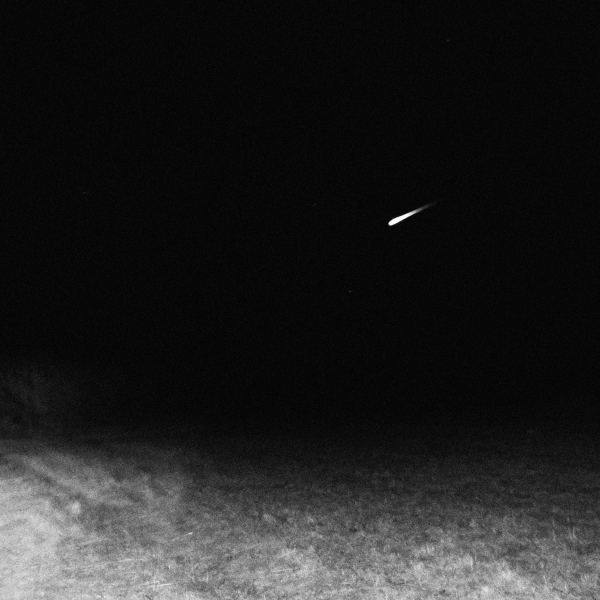 Stars Of The Silver Sheet (II)
