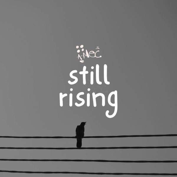 Still Rising