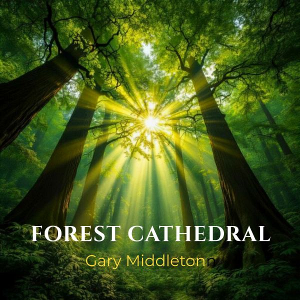 Forest Cathedral