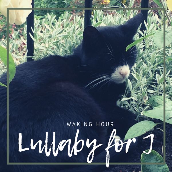 Lullaby for J