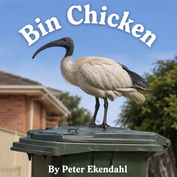 Bin Chicken