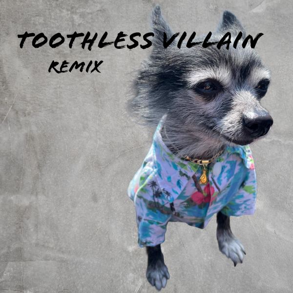 Toothless Villain remix