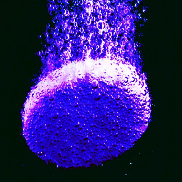Drop Mentos into Coca Cola