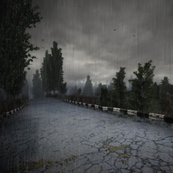Rain Drops