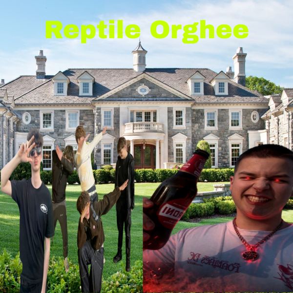 Reptile Orghee