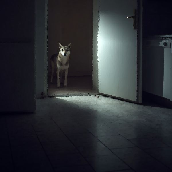 Come On In