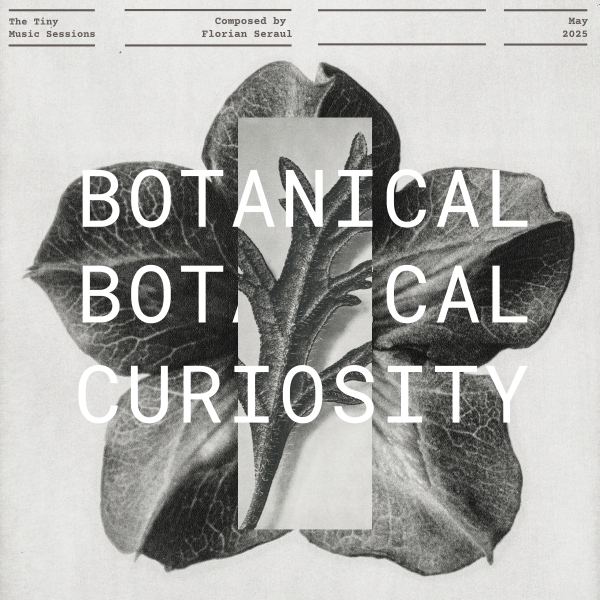Botanical Curiosity