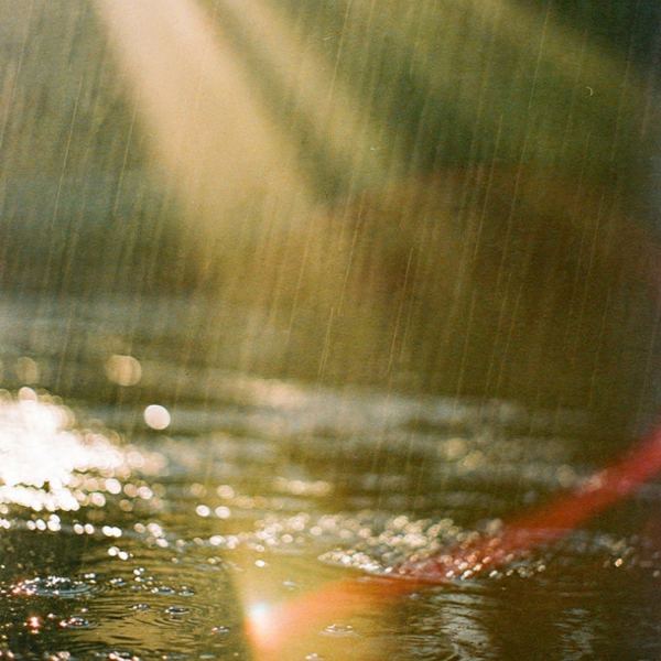 sun came out after a week of rain