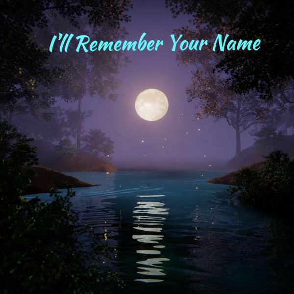I'll Remember Your Name