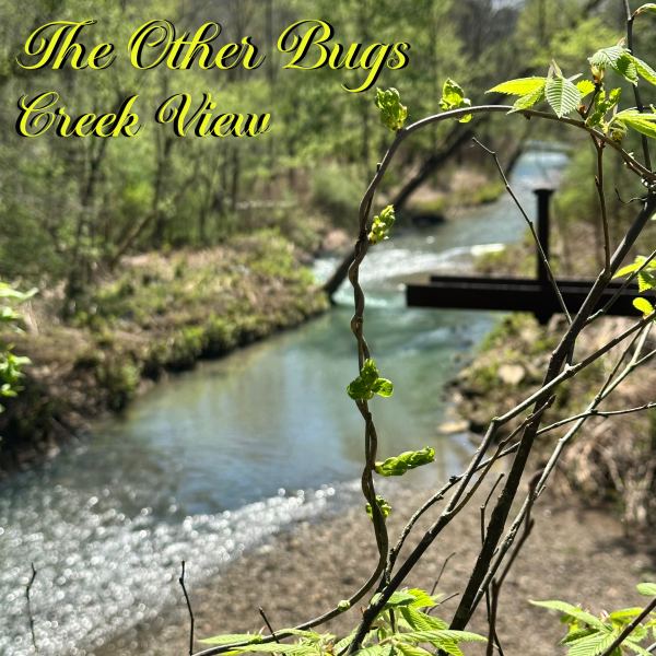 Creek View