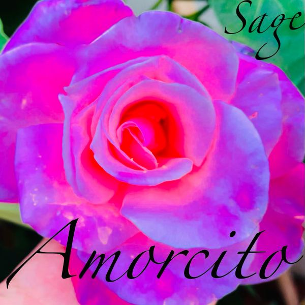 Amorcito