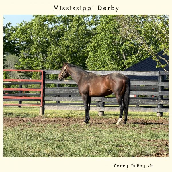 Mississippi Derby